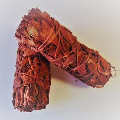 Sauge Rouge - Sang de Dragon - Calliste Herboristerie